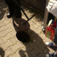 bilder_2012_183