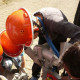 bilder_2012_216